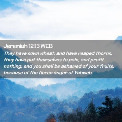 Picture 02 - Jeremiah 12:13 WEB - They have sown wheat, and have reaped thorns; - Bible Verse Picture