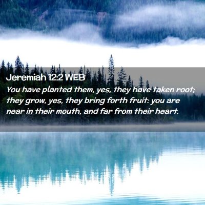 Picture 02 - Jeremiah 12:2 WEB - You have planted them, yes, they have taken root; - Bible Verse Picture