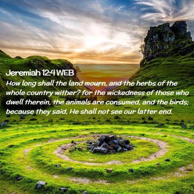 Picture 02 - Jeremiah 12:4 WEB - How long shall the land mourn, and the herbs of - Bible Verse Picture