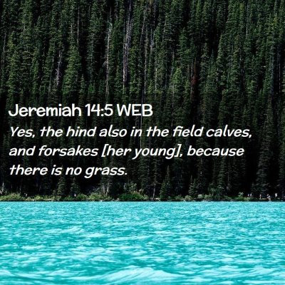 Picture 02 - Jeremiah 14:5 WEB - Yes, the hind also in the field calves, and - Bible Verse Picture