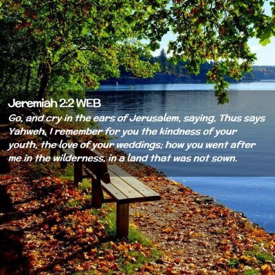 Picture 02 - Jeremiah 2:2 WEB - Go, and cry in the ears of Jerusalem, saying, - Bible Verse Picture