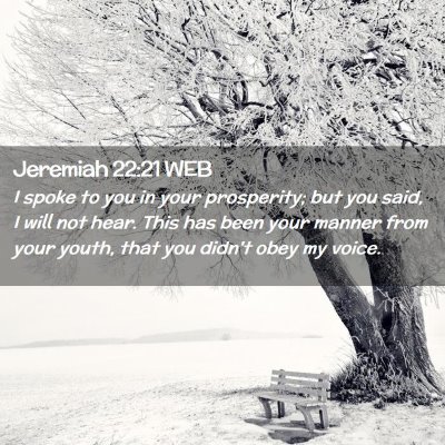 Picture 02 - Jeremiah 22:21 WEB - I spoke to you in your prosperity; but you said, - Bible Verse Picture