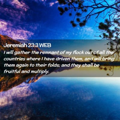 Picture 02 - Jeremiah 23:3 WEB - I will gather the remnant of my flock out of all - Bible Verse Picture