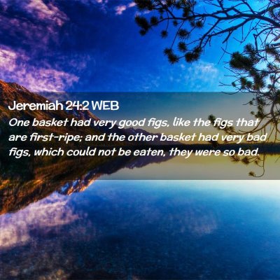 Picture 02 - Jeremiah 24:2 WEB - One basket had very good figs, like the figs that - Bible Verse Picture