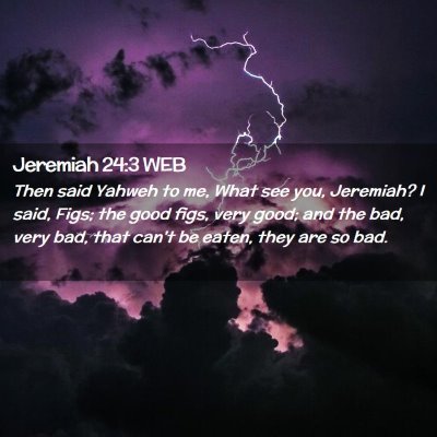 Picture 02 - Jeremiah 24:3 WEB - Then said Yahweh to me, What see you, Jeremiah? I - Bible Verse Picture