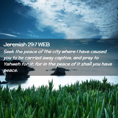 Picture 02 - Jeremiah 29:7 WEB - Seek the peace of the city where I have caused - Bible Verse Picture