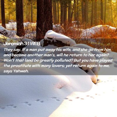 Picture 02 - Jeremiah 3:1 WEB - They say, If a man put away his wife, and she go - Bible Verse Picture