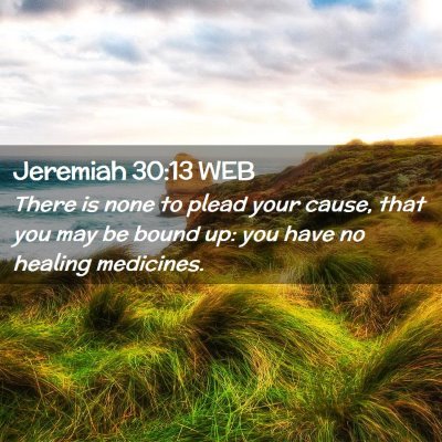Picture 02 - Jeremiah 30:13 WEB - There is none to plead your cause, that you may - Bible Verse Picture