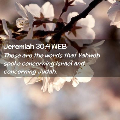 Picture 02 - Jeremiah 30:4 WEB - These are the words that Yahweh spoke concerning - Bible Verse Picture