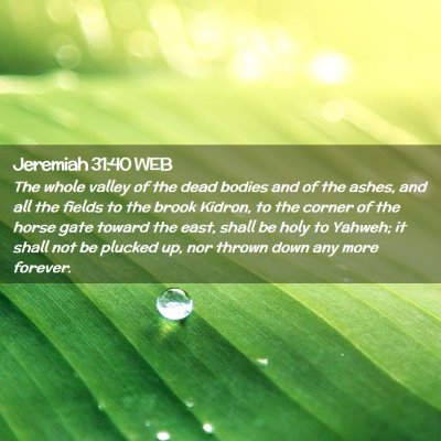 Picture 02 - Jeremiah 31:40 WEB - The whole valley of the dead bodies and of the - Bible Verse Picture