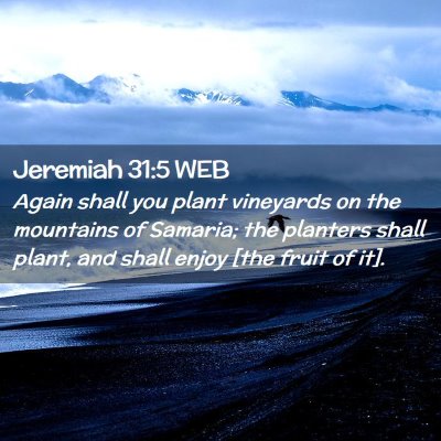 Picture 02 - Jeremiah 31:5 WEB - Again shall you plant vineyards on the mountains - Bible Verse Picture