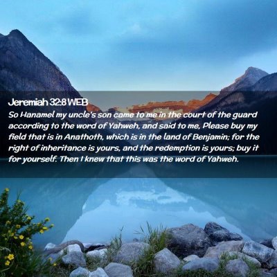 Picture 02 - Jeremiah 32:8 WEB - So Hanamel my uncle's son came to me in the court - Bible Verse Picture