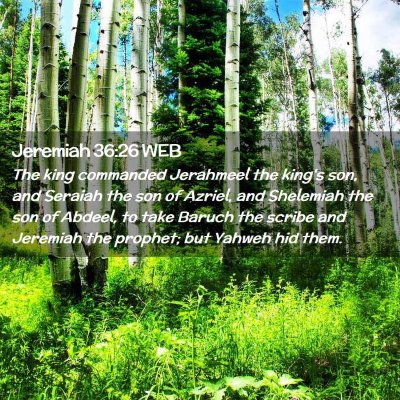 Picture 02 - Jeremiah 36:26 WEB - The king commanded Jerahmeel the king's son, and - Bible Verse Picture