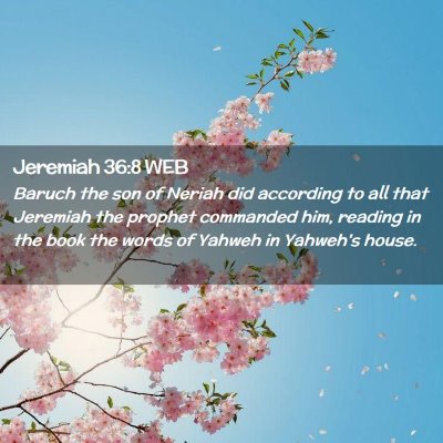 Picture 02 - Jeremiah 36:8 WEB - Baruch the son of Neriah did according to all - Bible Verse Picture