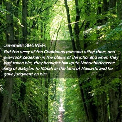 Picture 02 - Jeremiah 39:5 WEB - But the army of the Chaldeans pursued after them, - Bible Verse Picture