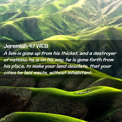 Picture 02 - Jeremiah 4:7 WEB - A lion is gone up from his thicket, and a - Bible Verse Picture