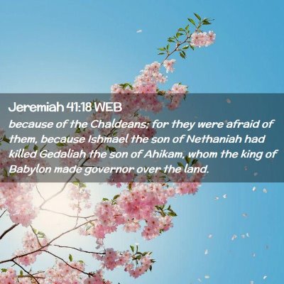 Picture 02 - Jeremiah 41:18 WEB - because of the Chaldeans; for they were afraid of - Bible Verse Picture