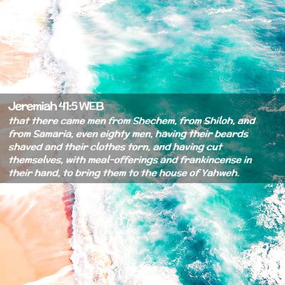 Picture 02 - Jeremiah 41:5 WEB - that there came men from Shechem, from Shiloh, - Bible Verse Picture