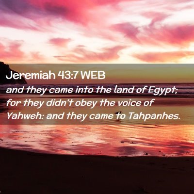 Picture 02 - Jeremiah 43:7 WEB - and they came into the land of Egypt; for they - Bible Verse Picture