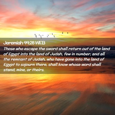 Picture 02 - Jeremiah 44:28 WEB - Those who escape the sword shall return out of - Bible Verse Picture