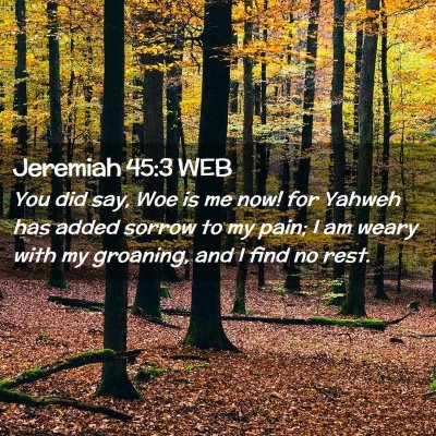 Picture 02 - Jeremiah 45:3 WEB - You did say, Woe is me now! for Yahweh has added - Bible Verse Picture