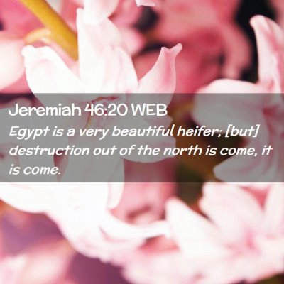 Picture 02 - Jeremiah 46:20 WEB - Egypt is a very beautiful heifer; [but] - Bible Verse Picture