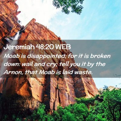 Picture 02 - Jeremiah 48:20 WEB - Moab is disappointed; for it is broken down: wail - Bible Verse Picture