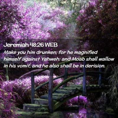 Picture 02 - Jeremiah 48:26 WEB - Make you him drunken; for he magnified himself - Bible Verse Picture
