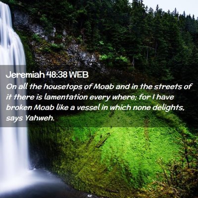 Picture 02 - Jeremiah 48:38 WEB - On all the housetops of Moab and in the streets - Bible Verse Picture