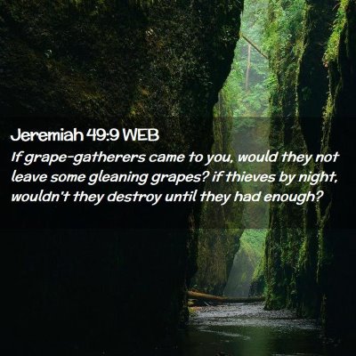 Picture 02 - Jeremiah 49:9 WEB - If grape-gatherers came to you, would they not - Bible Verse Picture