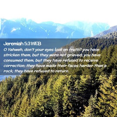 Picture 02 - Jeremiah 5:3 WEB - O Yahweh, don't your eyes look on truth? you have - Bible Verse Picture