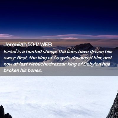 Picture 02 - Jeremiah 50:17 WEB - Israel is a hunted sheep; the lions have driven - Bible Verse Picture