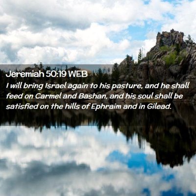 Picture 02 - Jeremiah 50:19 WEB - I will bring Israel again to his pasture, and he - Bible Verse Picture