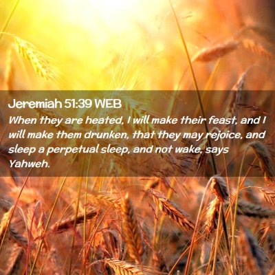 Picture 02 - Jeremiah 51:39 WEB - When they are heated, I will make their feast, - Bible Verse Picture