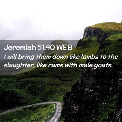 Picture 02 - Jeremiah 51:40 WEB - I will bring them down like lambs to the - Bible Verse Picture