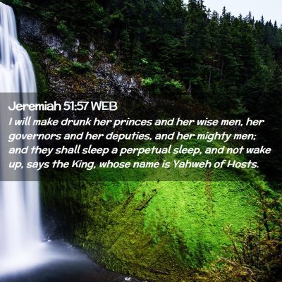 Picture 02 - Jeremiah 51:57 WEB - I will make drunk her princes and her wise men, - Bible Verse Picture