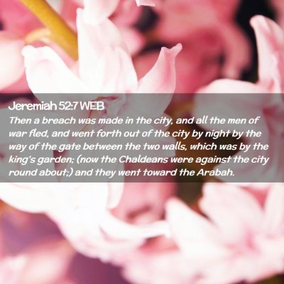 Picture 02 - Jeremiah 52:7 WEB - Then a breach was made in the city, and all the - Bible Verse Picture
