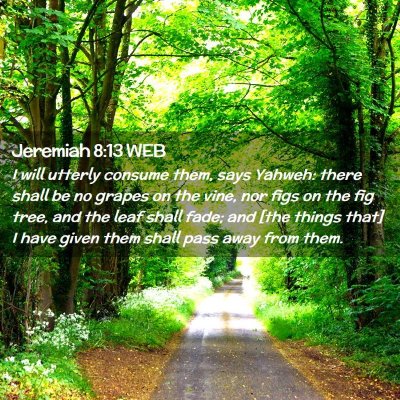 Picture 02 - Jeremiah 8:13 WEB - I will utterly consume them, says Yahweh: there - Bible Verse Picture