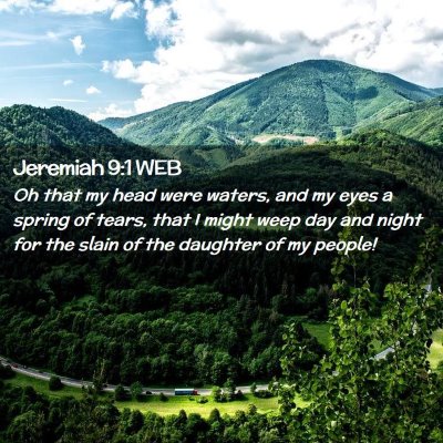 Picture 02 - Jeremiah 9:1 WEB - Oh that my head were waters, and my eyes a spring - Bible Verse Picture