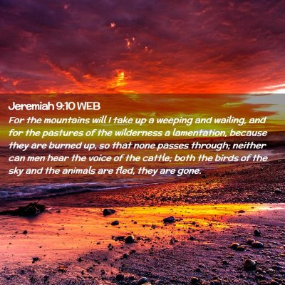 Picture 02 - Jeremiah 9:10 WEB - For the mountains will I take up a weeping and - Bible Verse Picture