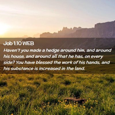 Picture 02 - Job 1:10 WEB - Haven't you made a hedge around him, and around - Bible Verse Picture