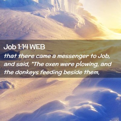 Picture 02 - Job 1:14 WEB - that there came a messenger to Job, and said, - Bible Verse Picture