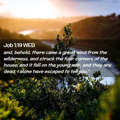 Picture 02 - Job 1:19 WEB - and, behold, there came a great wind from the - Bible Verse Picture