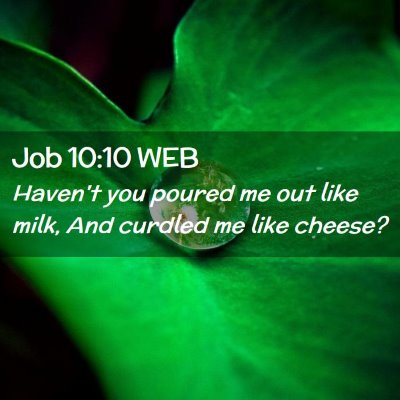 Picture 02 - Job 10:10 WEB - Haven't you poured me out like milk, And curdled - Bible Verse Picture