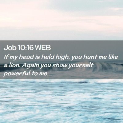 Picture 02 - Job 10:16 WEB - If my head is held high, you hunt me like a lion. - Bible Verse Picture