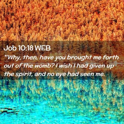 Picture 02 - Job 10:18 WEB - 