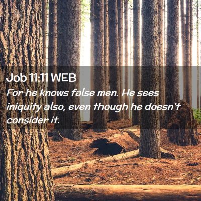 Picture 02 - Job 11:11 WEB - For he knows false men. He sees iniquity also, - Bible Verse Picture