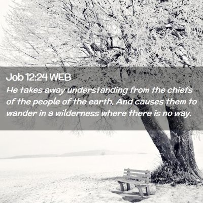 Picture 02 - Job 12:24 WEB - He takes away understanding from the chiefs of - Bible Verse Picture