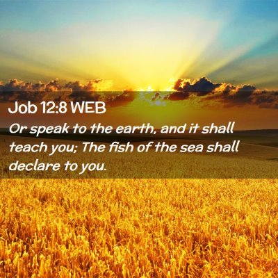 Picture 02 - Job 12:8 WEB - Or speak to the earth, and it shall teach you; - Bible Verse Picture