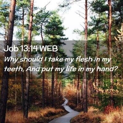 Picture 02 - Job 13:14 WEB - Why should I take my flesh in my teeth, And put - Bible Verse Picture